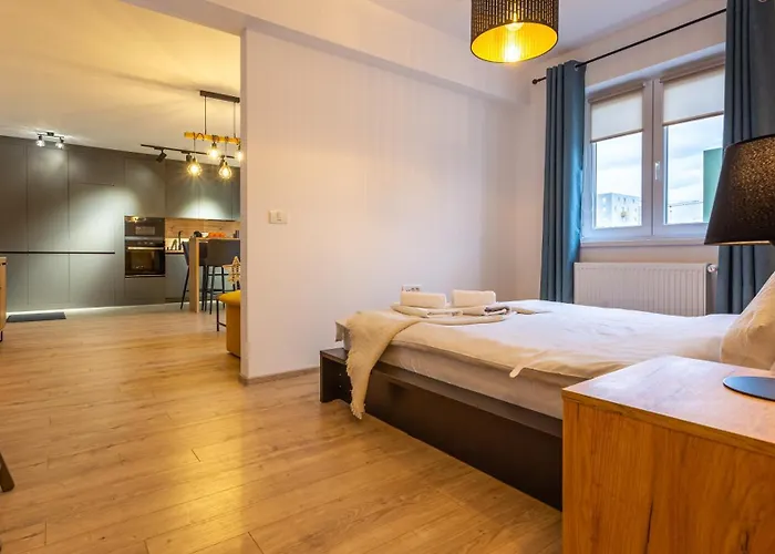 Mountain Apartment Brasov